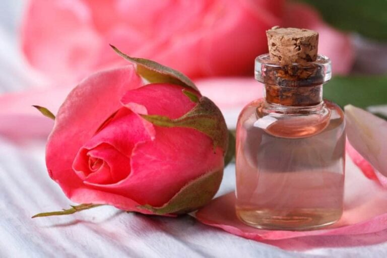 وصفات لتسمين الوجه