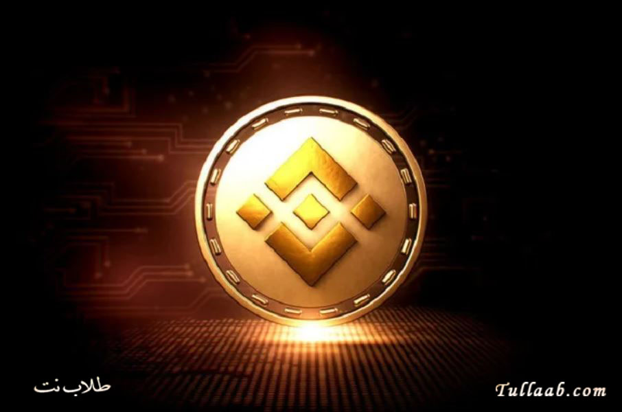 مشروع عملة بي إن بي BNB القيمة سعر المخطط