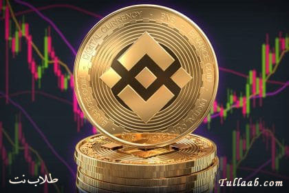 مشروع عملة بي إن بي BNB القيمة سعر المخطط