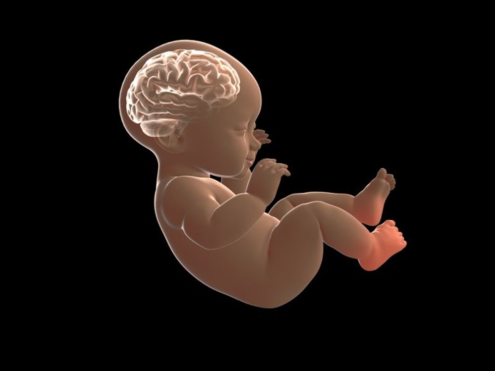 أعراض ضمور المخ عند الرضع
