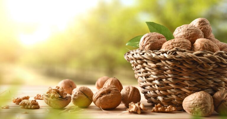 كمية عين الجمل اليومية للأطفال