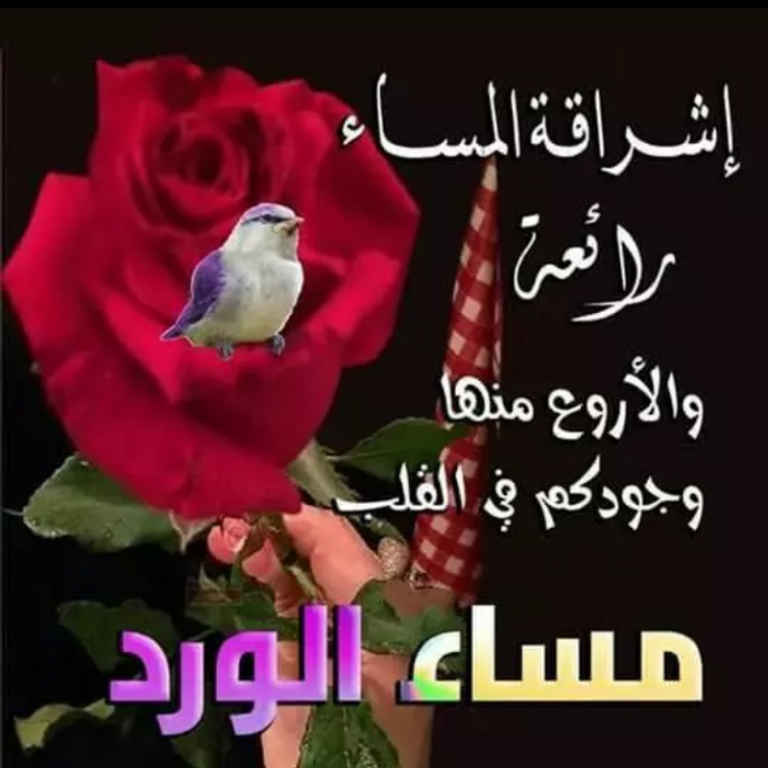 اجمل رسائل مساء الخير 2022 لمشاركتها على الفيس بوك