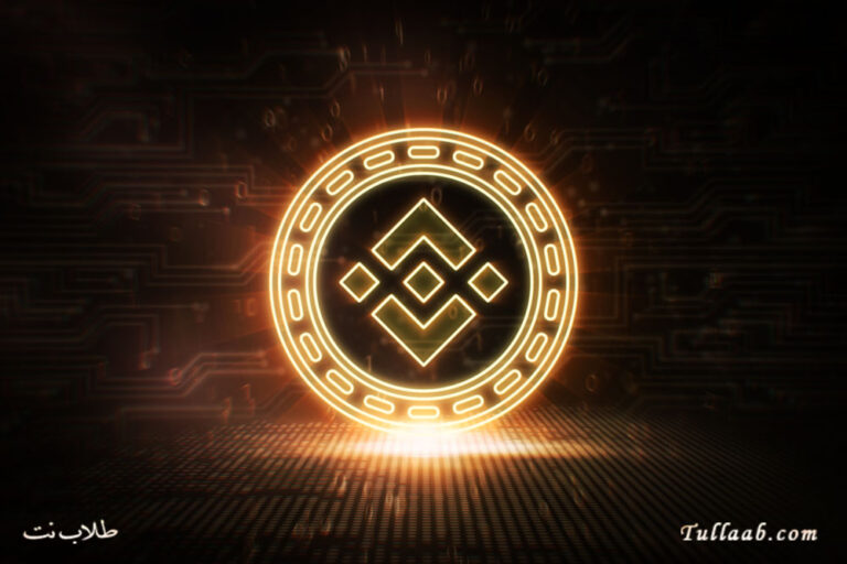 مشروع عملة بي إن بي BNB القيمة سعر المخطط