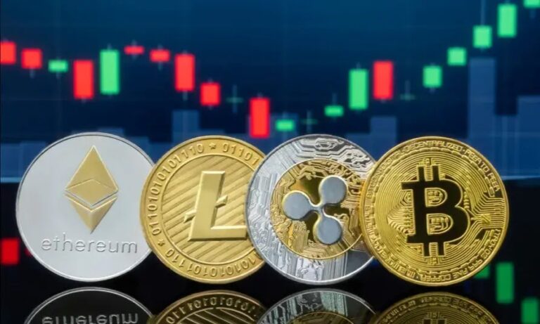 شرح تسجيل الدخول منصة إن إس إف إكس