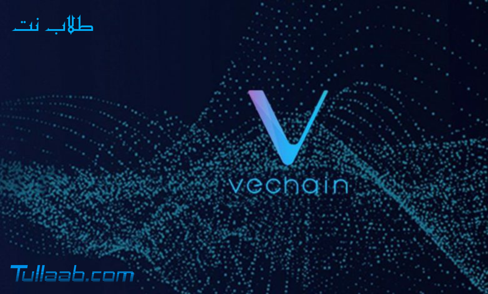 مشروع عملة فيتشان VET القيمة وسعر المخطط