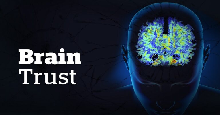 مشروع عملة brainTrust BTRST القيمة وسعر المخطط
