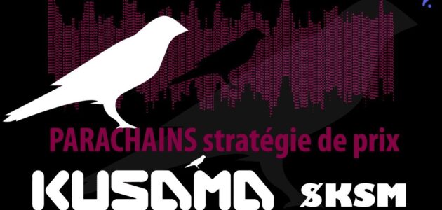 الفرق بين عملة كوساما KSM وبولكادوت Polkadot