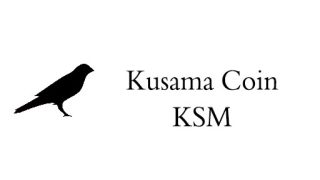 مشروع عملة كوساما KSM القيمة وسعر المخطط