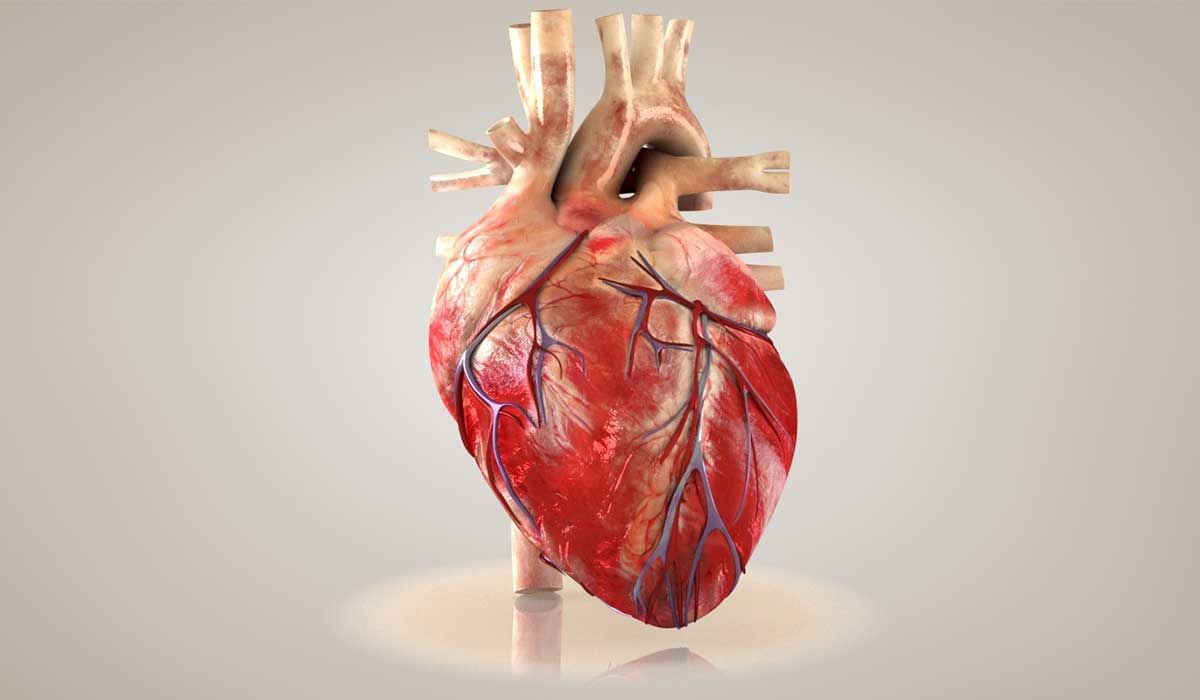 ما أنواع ثقب القلب عند الأطفال وأعراض الإصابة به