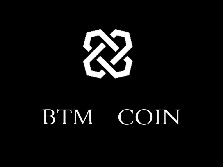 مشروع عملة BTM القيمة وسعر المخطط