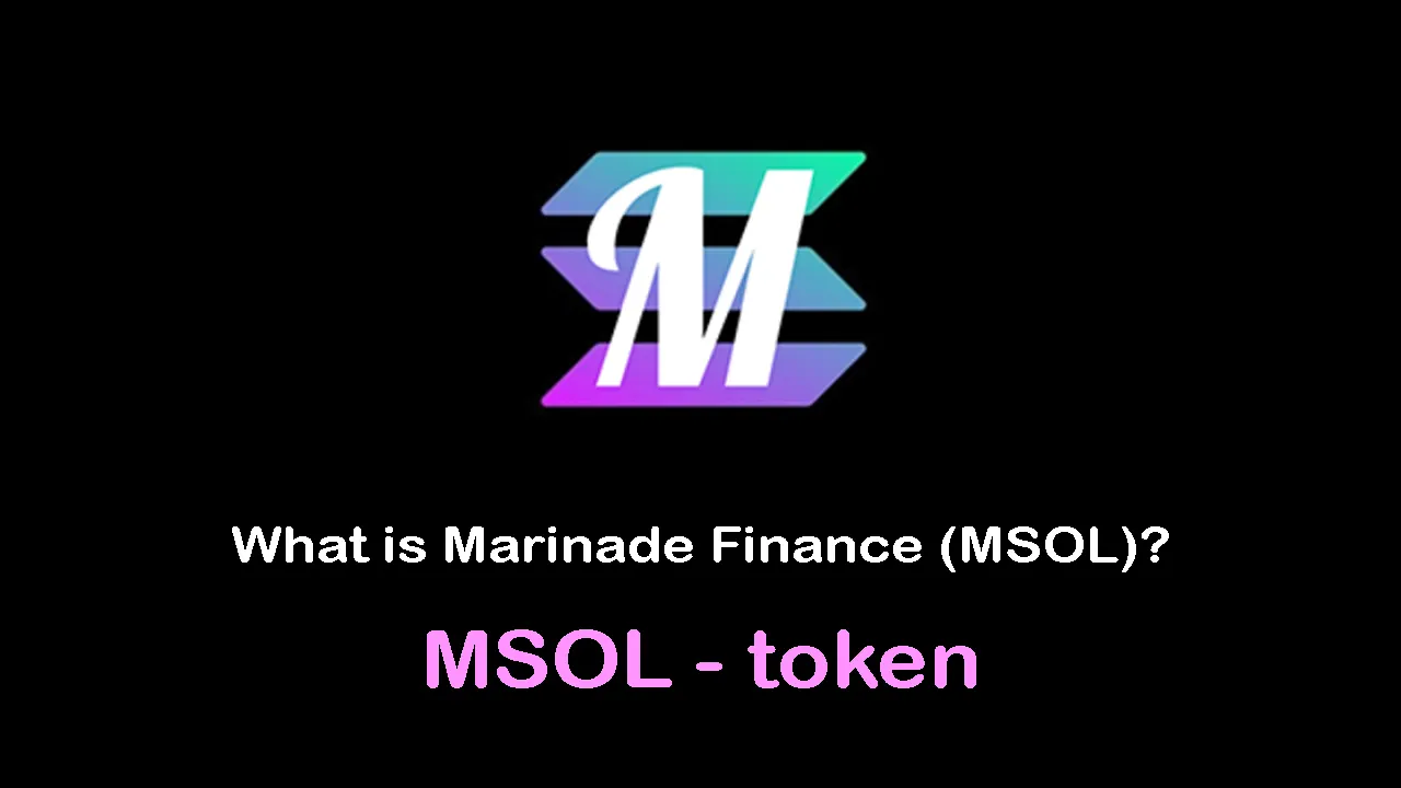 مشروع عملة MSOL القيمة وسعر المخطط