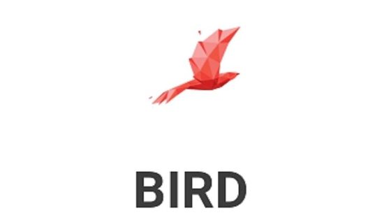 مشروع عملة BIRD القيمة وسعر المخطط