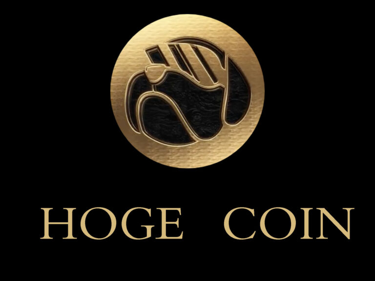 مشروع عملة HOGE القيمة وسعر المخطط