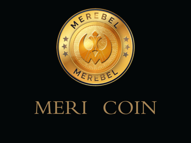 مشروع عملة MERI القيمة وسعر المخطط