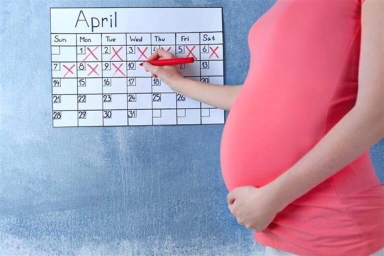 برنامج حساب الحمل بالأسابيع بالعربي