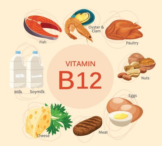 مصادر الفيتامين 12 B