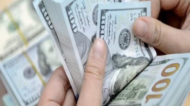 شروط قرض العمل الحر ومزاياه