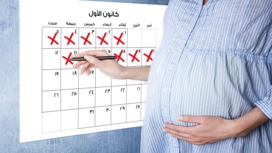 حساب الحمل بالاشهر الميلادية برنامج حساب الحمل بالاشهر