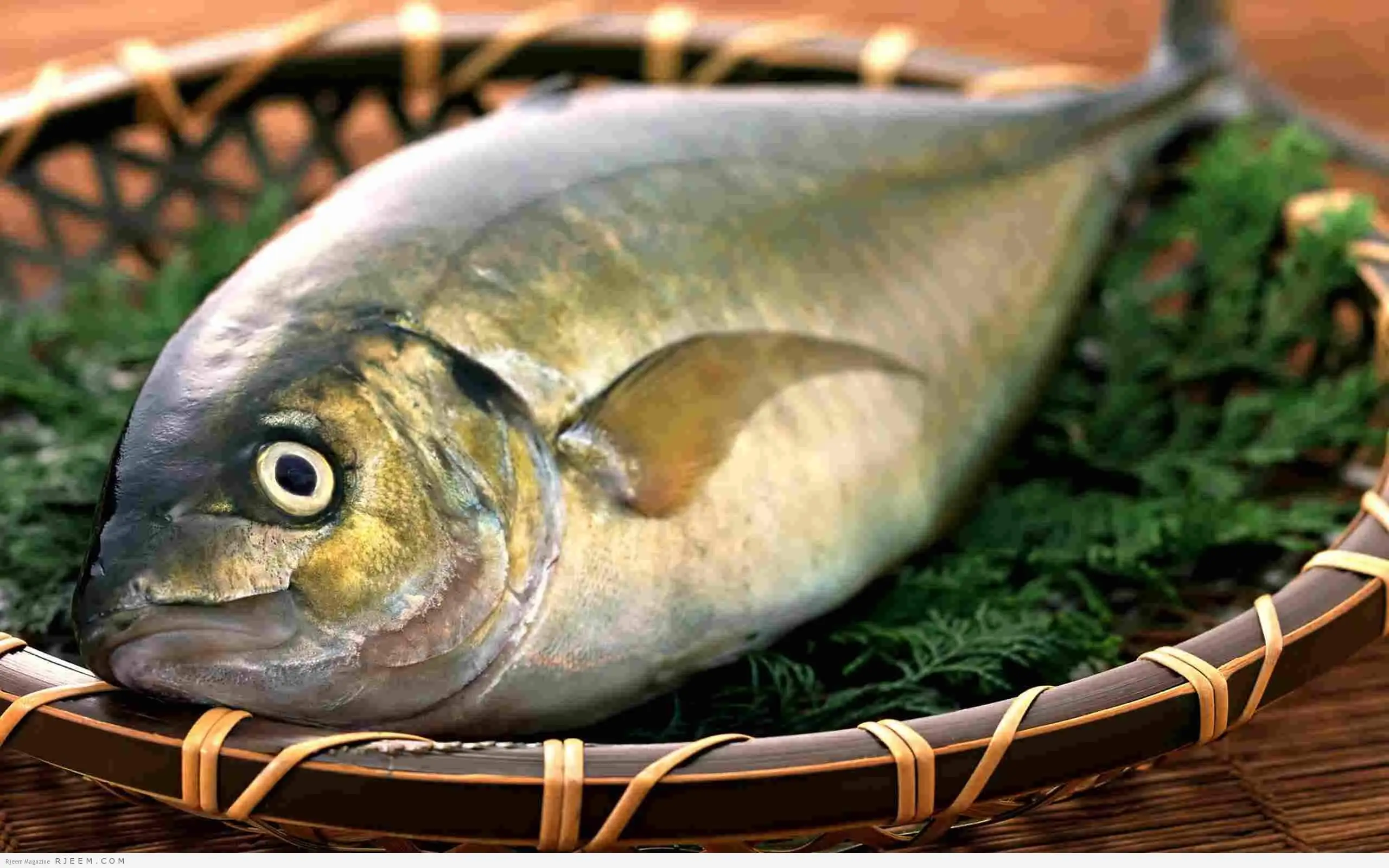 تفسير أكل السمك في الحلم لابن سيرين