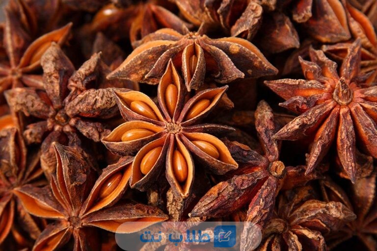 فوائد اليانسون النجمي وطريقة استخدامه