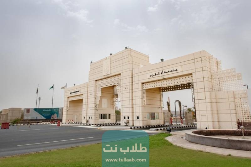 التسجيل في جامعة ام القرى السعودية