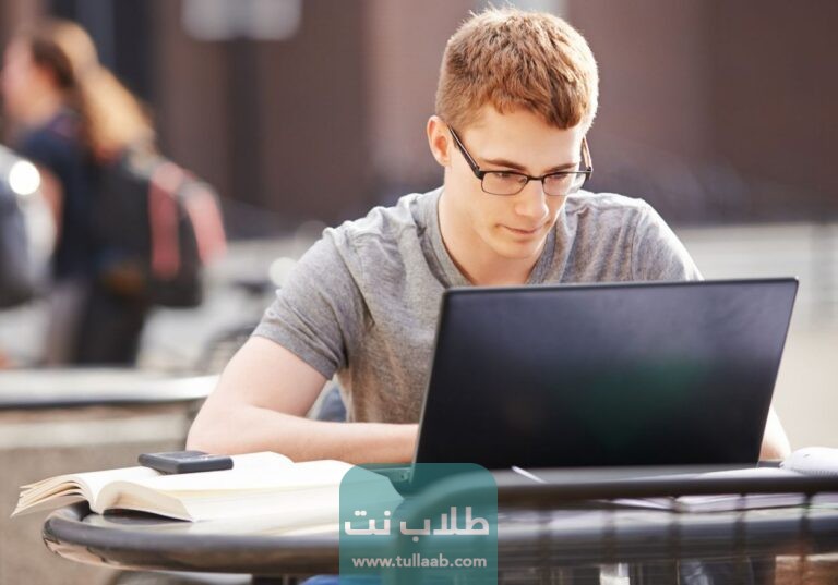 رابط البوابة الالكترونية لابناؤنا في الخارج الجديد emis.gov.eg