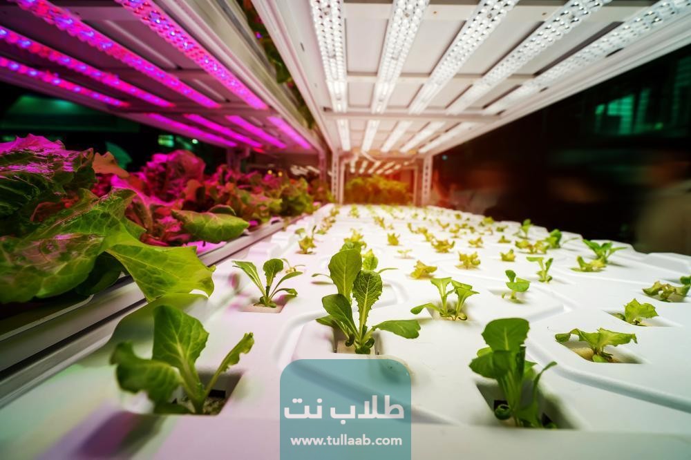 معلومات عن فعاليات معرض لايت الكويت اكسبو 2023