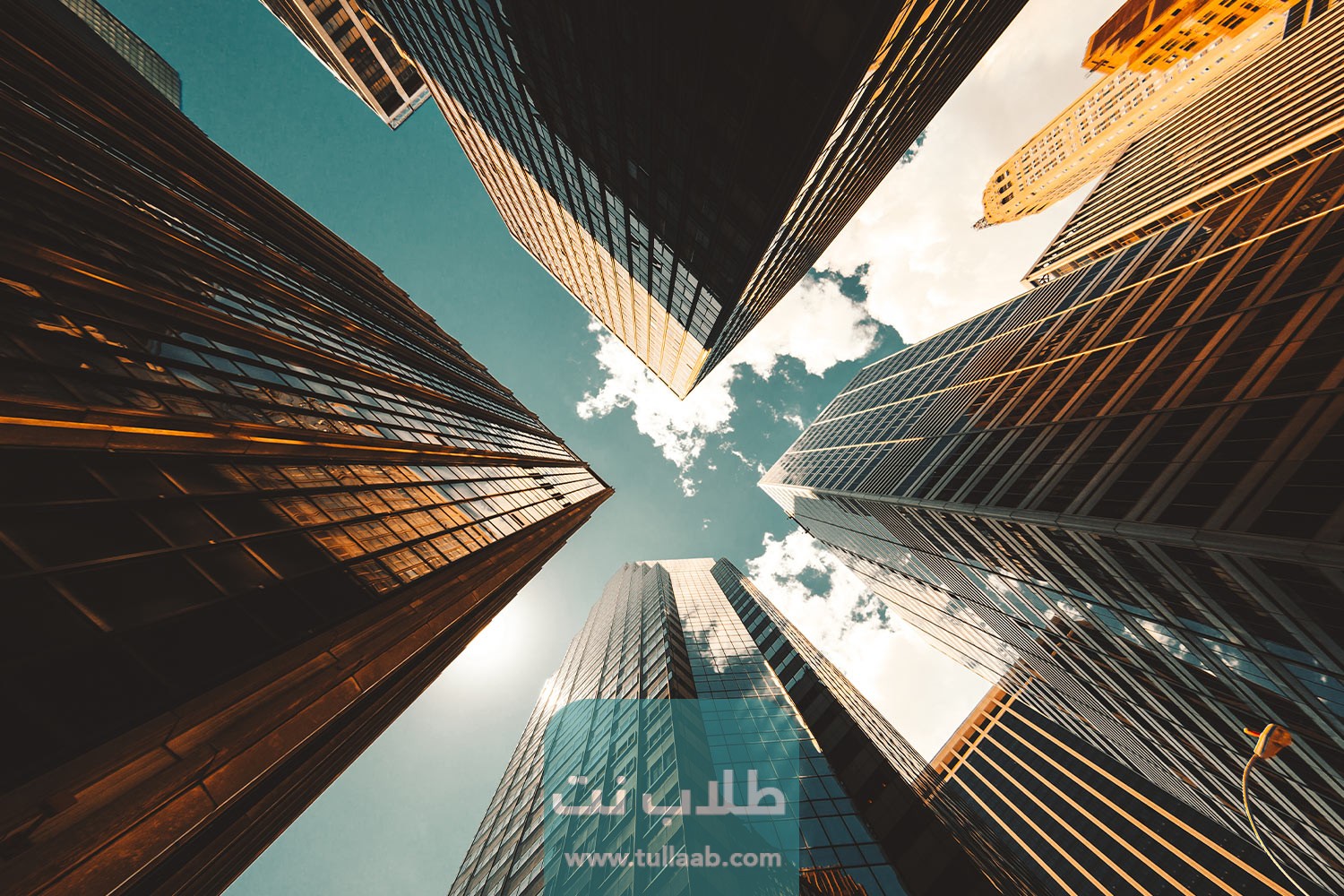 أهم التخصصات المطلوبة في سوق العمل السعودي