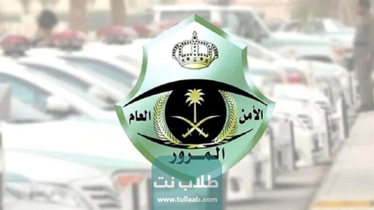 طريقة اسقاط اللوحات عن طريق الجوال في أبشر