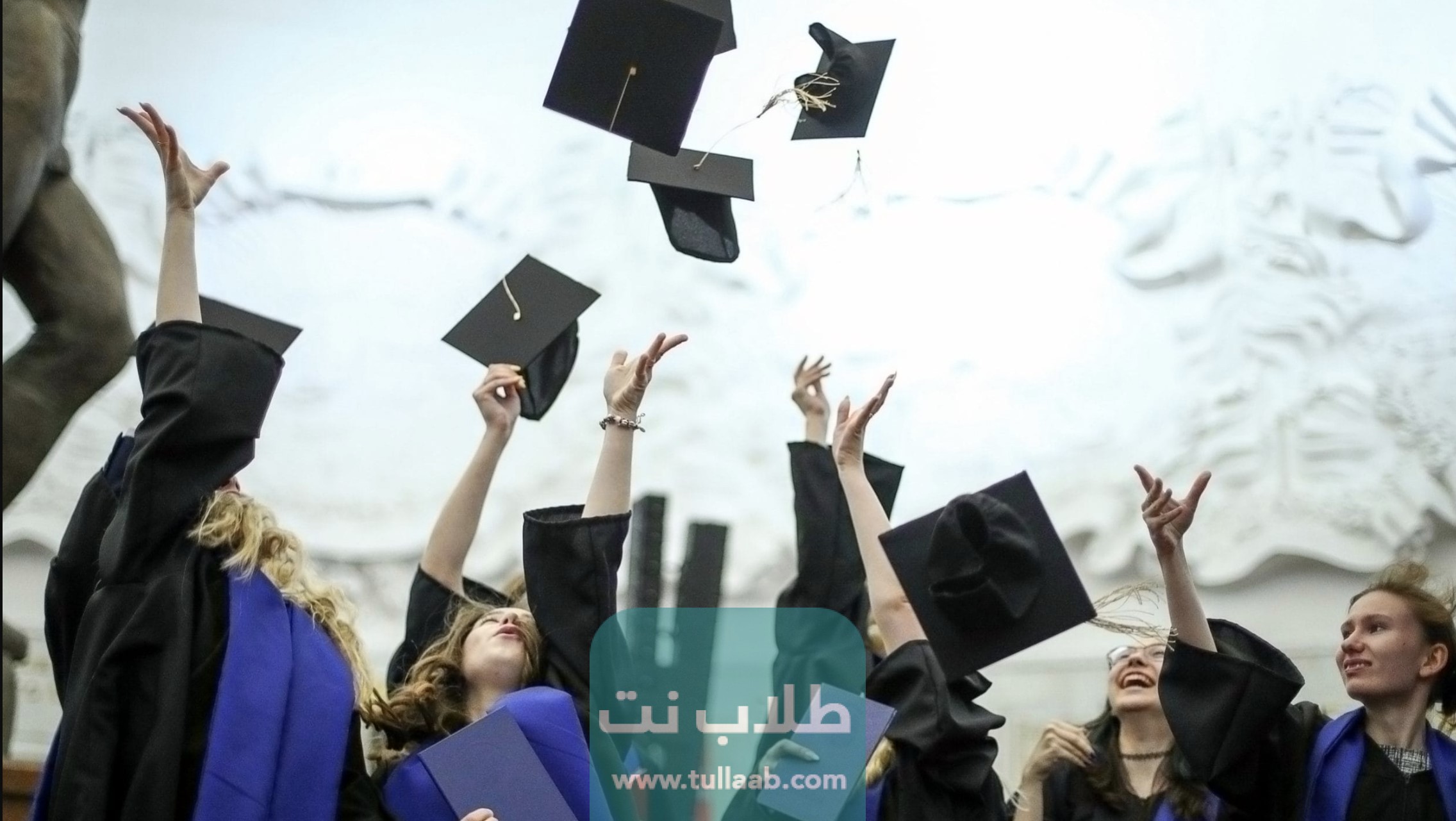 الجامعات التركية