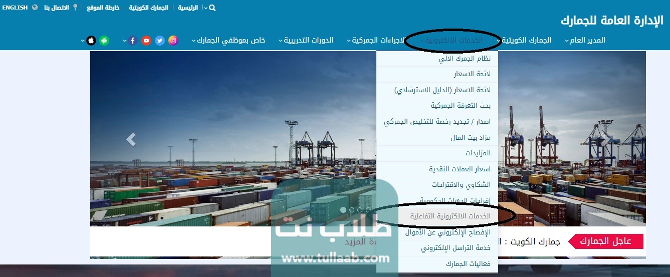 الخدمات الالكترونية التفاعلية