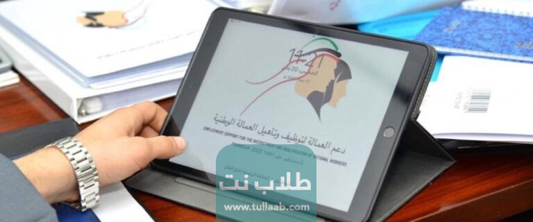 الهيئة العامة للقوى العاملة