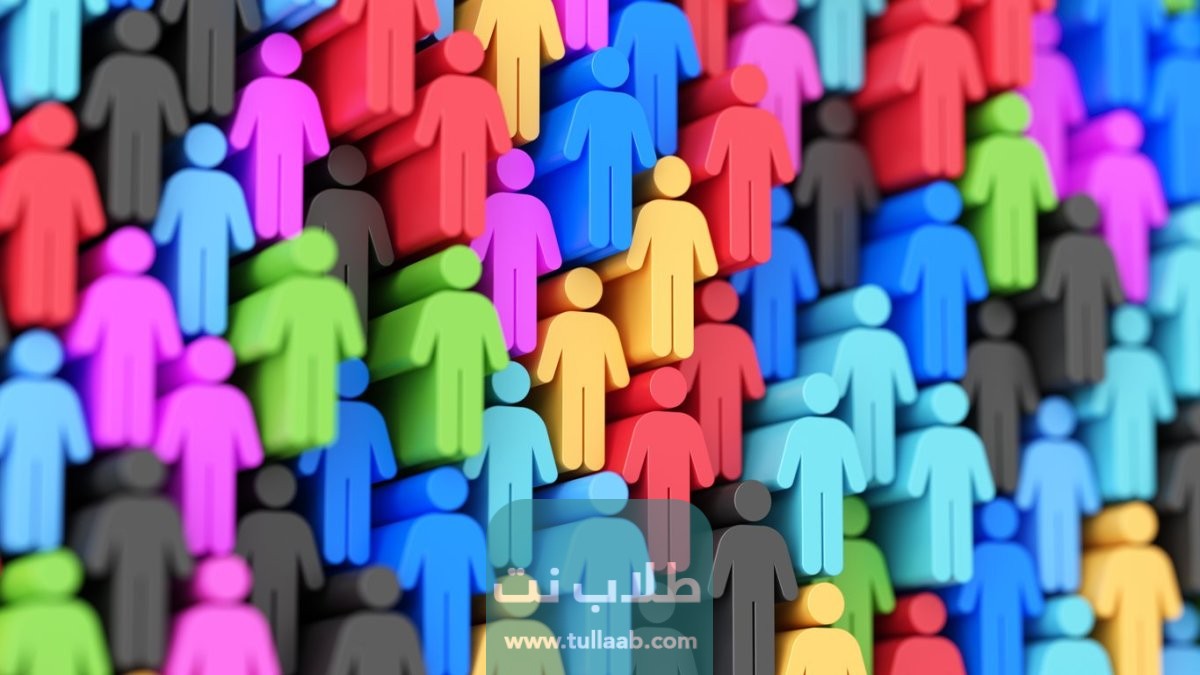 تقييم الشريحة المستهدفة