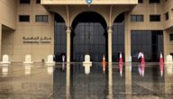نسب قبول الأمن السيبراني في جامعة الملك سعود السعودية 1444