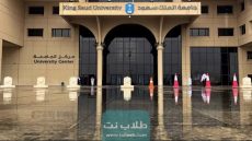 نسب قبول الأمن السيبراني في جامعة الملك سعود السعودية