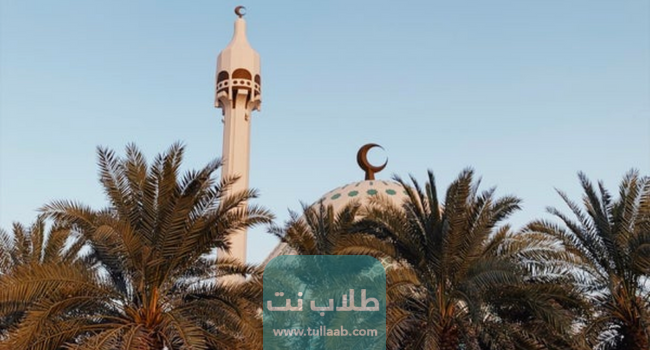 خدمات ضاحية عبدالله السالم