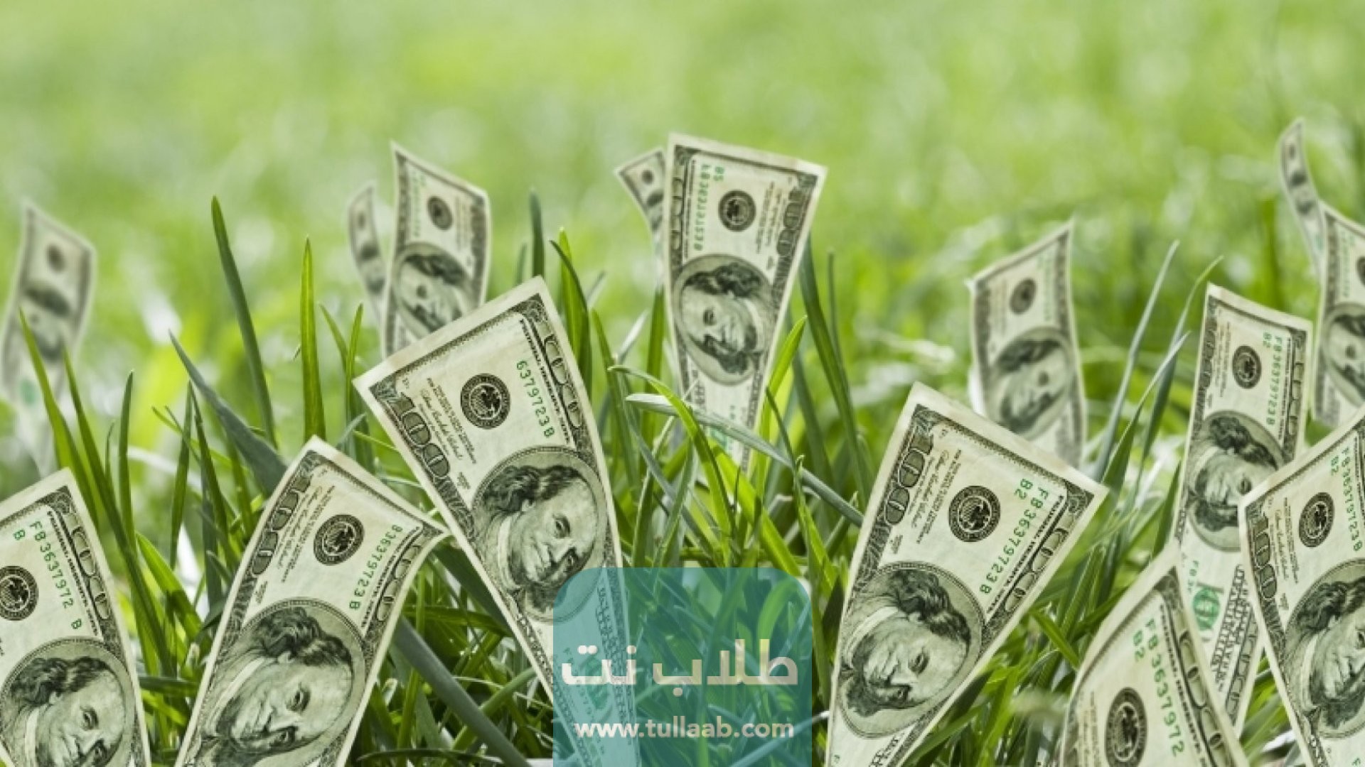 ربح المال عن طريق المشي