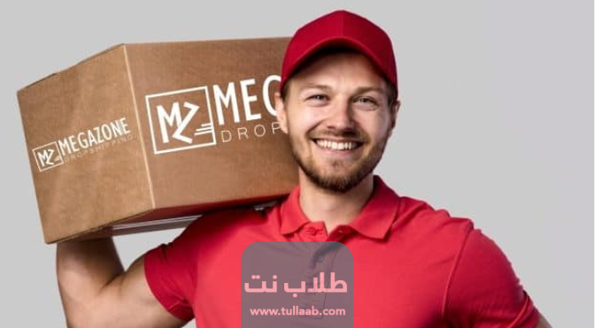 شرح الربح من megazone عن طريق التجارة الإلكترونية