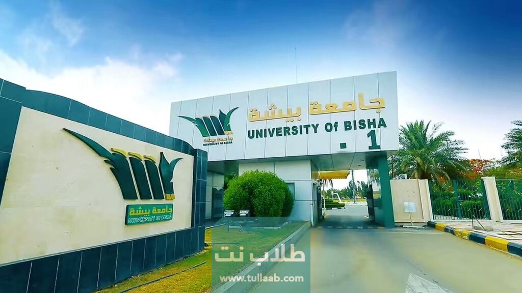 شروط القبول في بلاك بورد جامعة بيشة 1444