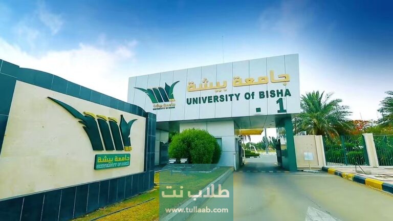 شروط القبول في بلاك بورد جامعة بيشة 1444