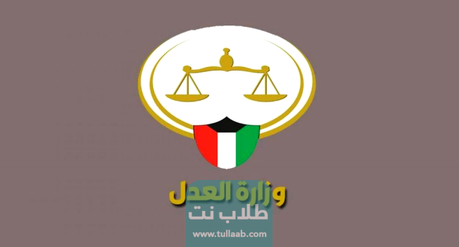 طرق الاستعلام عن القضايا