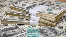 كم تبلغ ثروة نوال الكويتية