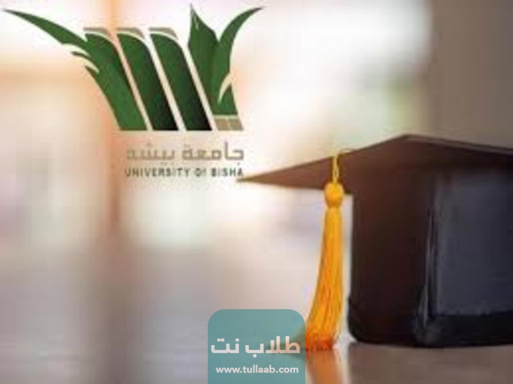 معايير القبول في جامعة بيشة