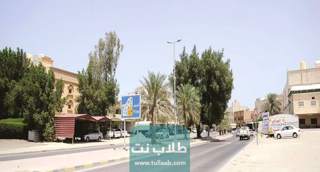 معلومات عن منطقة الفردوس الكويتية