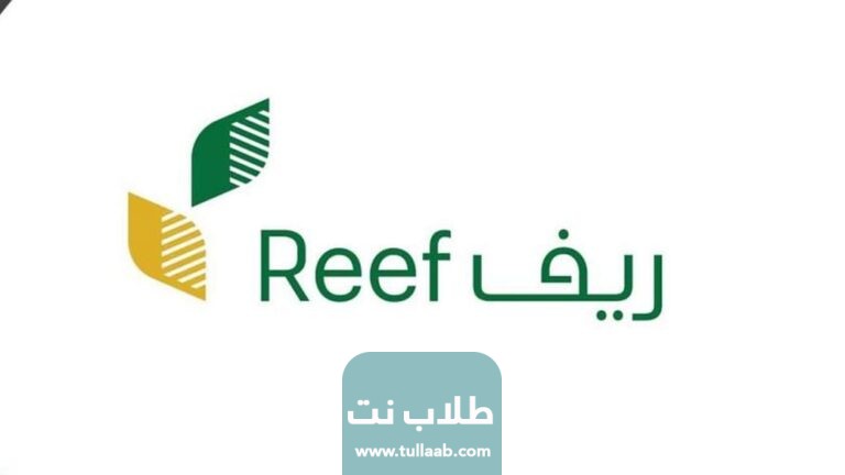 رابط الاستعلام عن دعم ريف للاسر المنتجه