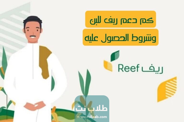 كم دعم ريف للبن وشروط الحصول عليه