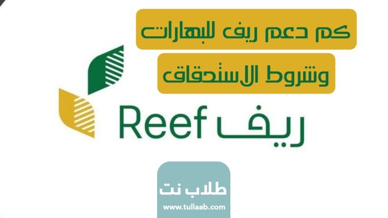 كم دعم ريف للبهارات وشروط الاستحقاق