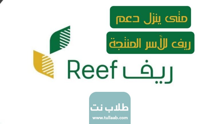 متى ينزل دعم ريف للأسر المنتجة