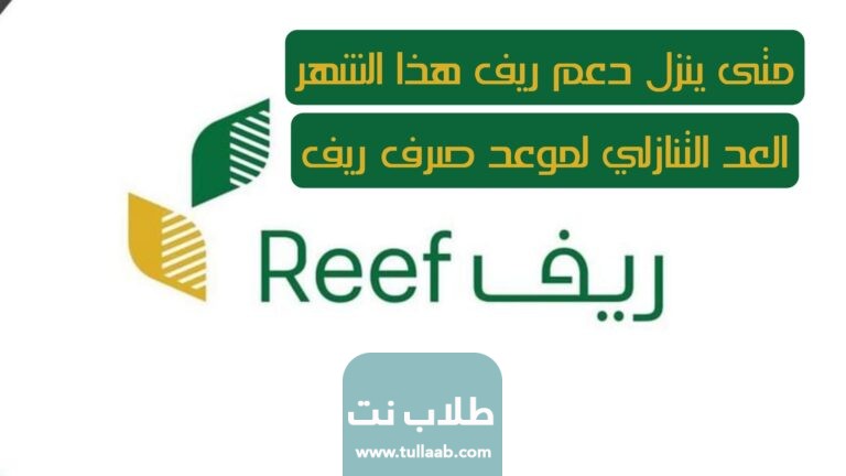 متى ينزل دعم ريف هذا الشهر العد التنازلي لموعد صرف ريف