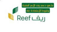 ما هو دعم ريف للاسر المنتجة وشروط الاستفادة منه